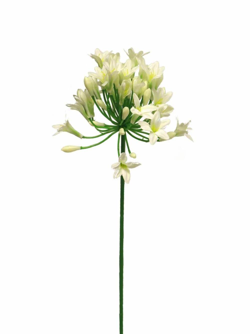 Agapanthus | Artificial Agapanthus Asong, Cream, 31"/75Cm Agapanthus Agapanthus