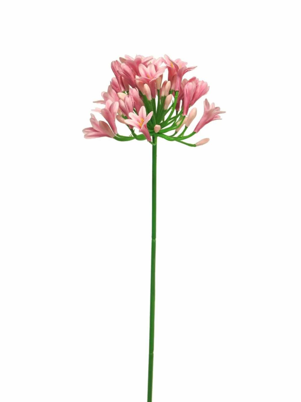 Agapanthus | Artificial Agapanthus Asong, Pink, 31"/75Cm Agapanthus Agapanthus