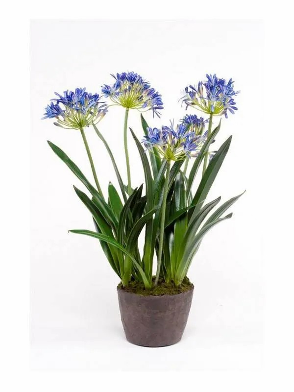 Agapanthus | Artificial Agapanthus Nash, Blue, 30"/75Cm Agapanthus Agapanthus