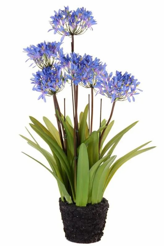 Agapanthus | Fake Agapanthus Injala In Soil Ball, Blue-Purple, 31"/80Cm, Ø4.3"/11Cm Agapanthus Agapanthus