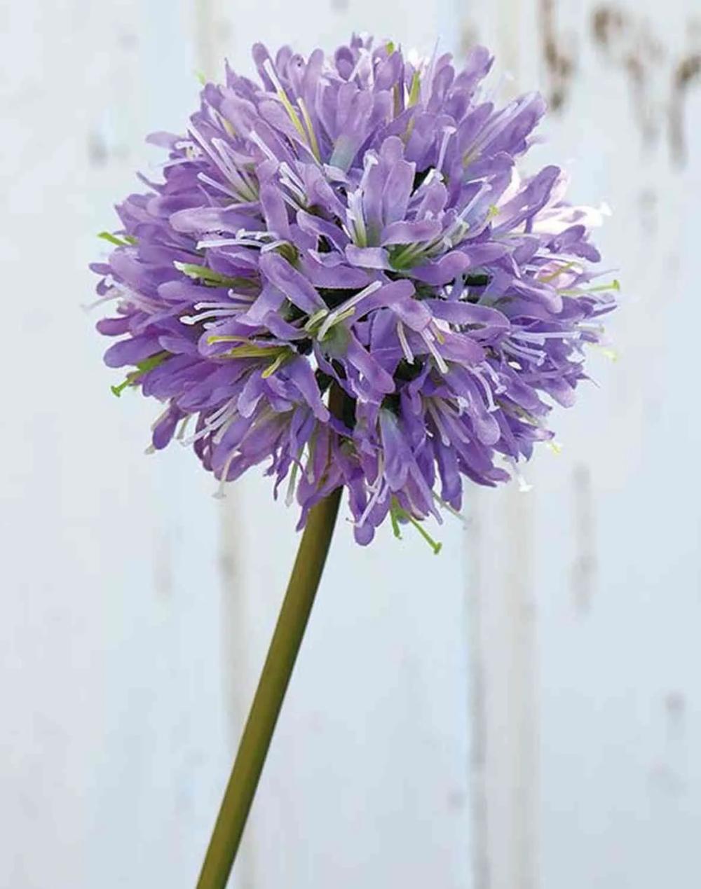 Agapanthus | Fake Agapanthus Semrana, Purple, 24"/60Cm Agapanthus