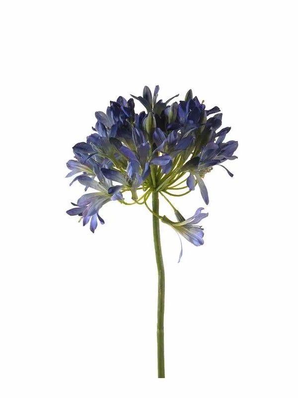 Agapanthus | Plastic Agapanthus Ornil, Blue, 3Ft/90Cm Agapanthus Agapanthus