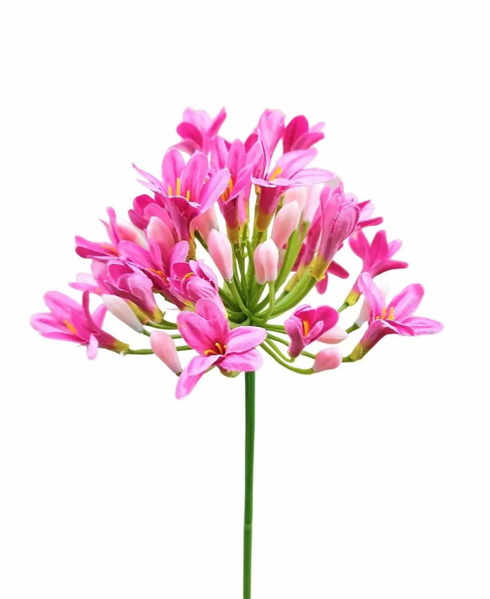 Agapanthus | Plastic Flower Agapanthus Omolon, Pink, 30"/75Cm Agapanthus Agapanthus