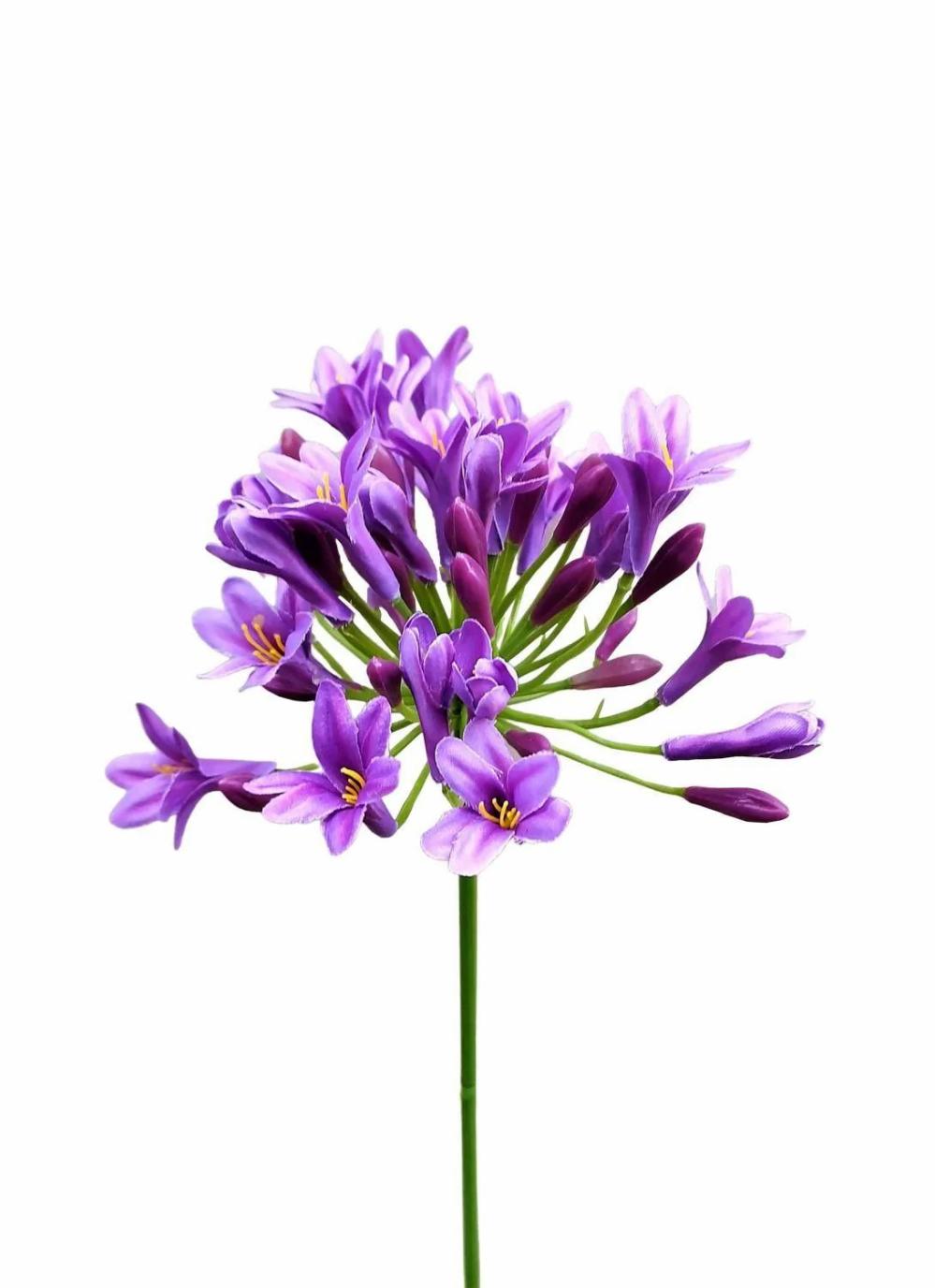 Agapanthus | Plastic Flower Agapanthus Omolon, Violet, 30"/75Cm Agapanthus Agapanthus