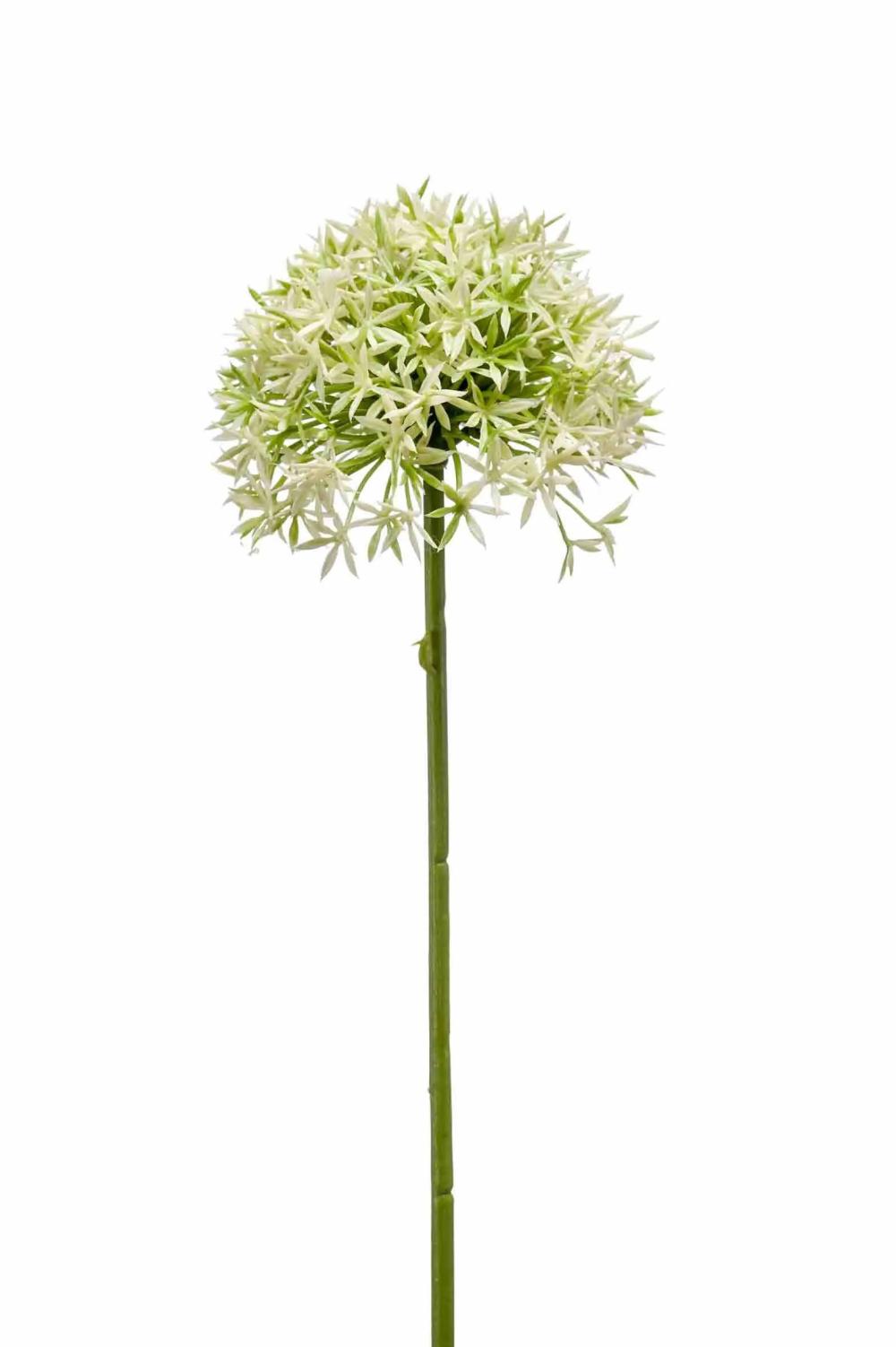 Allium | Artificial Allium Arnau, Cream-Green, 24"/60Cm Allium Allium