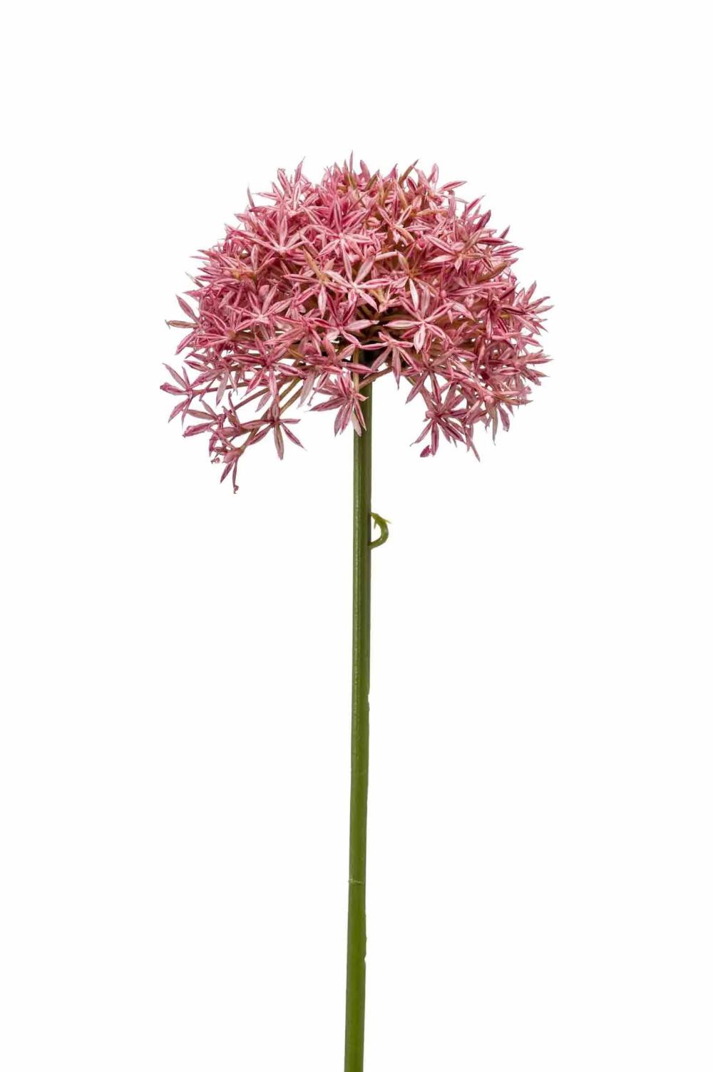 Allium | Artificial Allium Arnau, Pink, 24"/60Cm Allium Allium