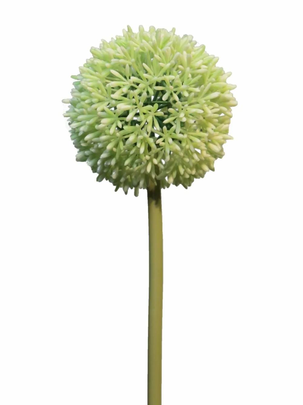 Allium | Artificial Allium Bailin, Cream-Green, 26"/65Cm Allium Allium