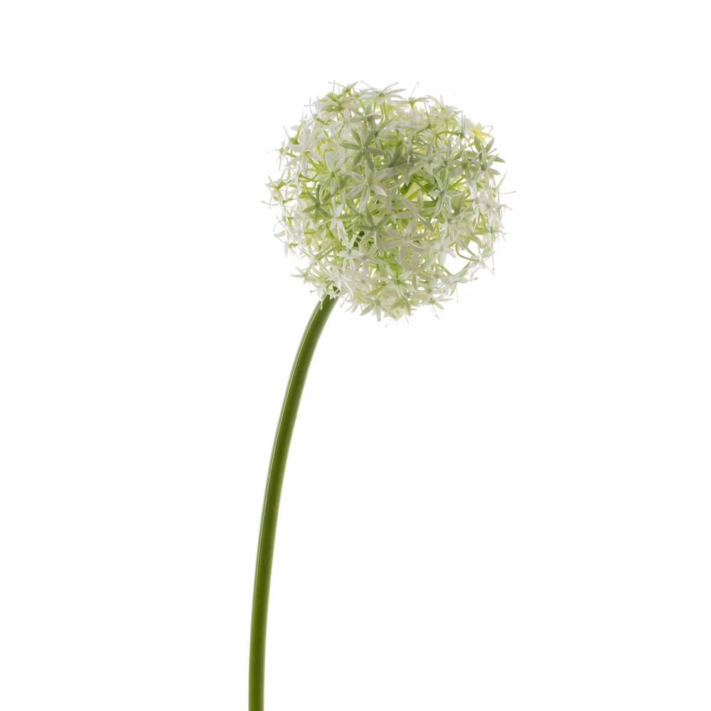 Allium | Artificial Allium Samara, Cream, 31"/75Cm, Ø4.7"/12Cm Allium Allium