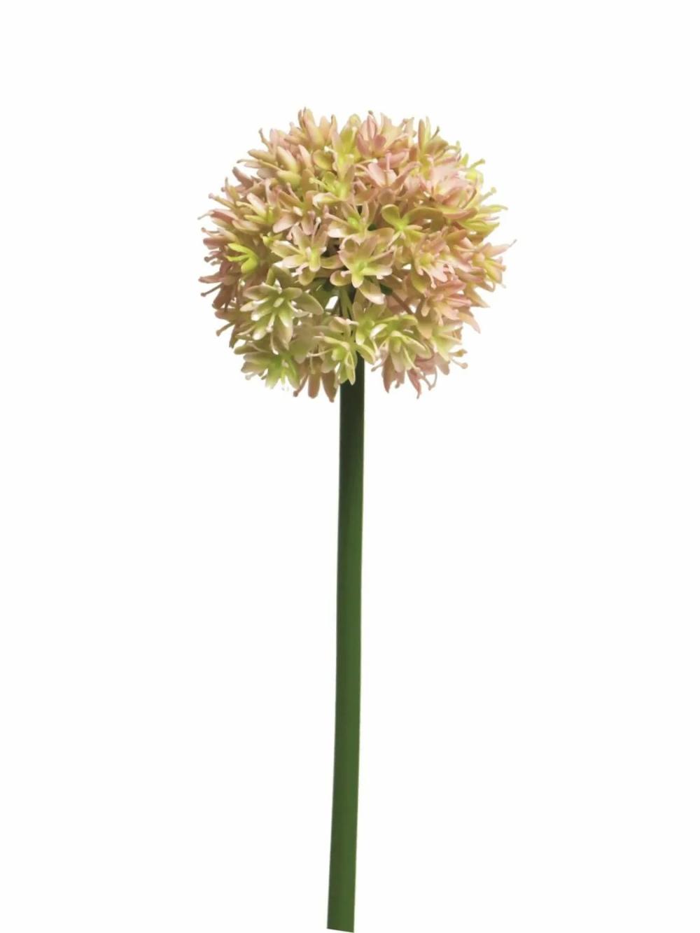 Allium | Artificial Allium Zhuang, Pink-Cream, 24"/60Cm Allium Allium