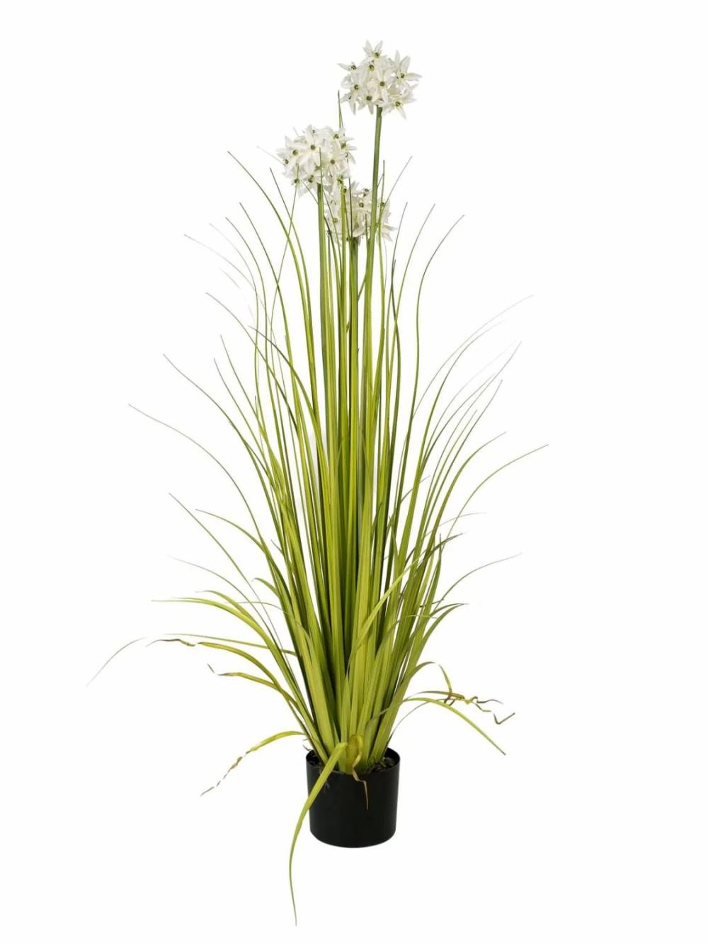 Allium | Artificial Grass Allium Asimda, White, 4Ft/120Cm Allium Allium