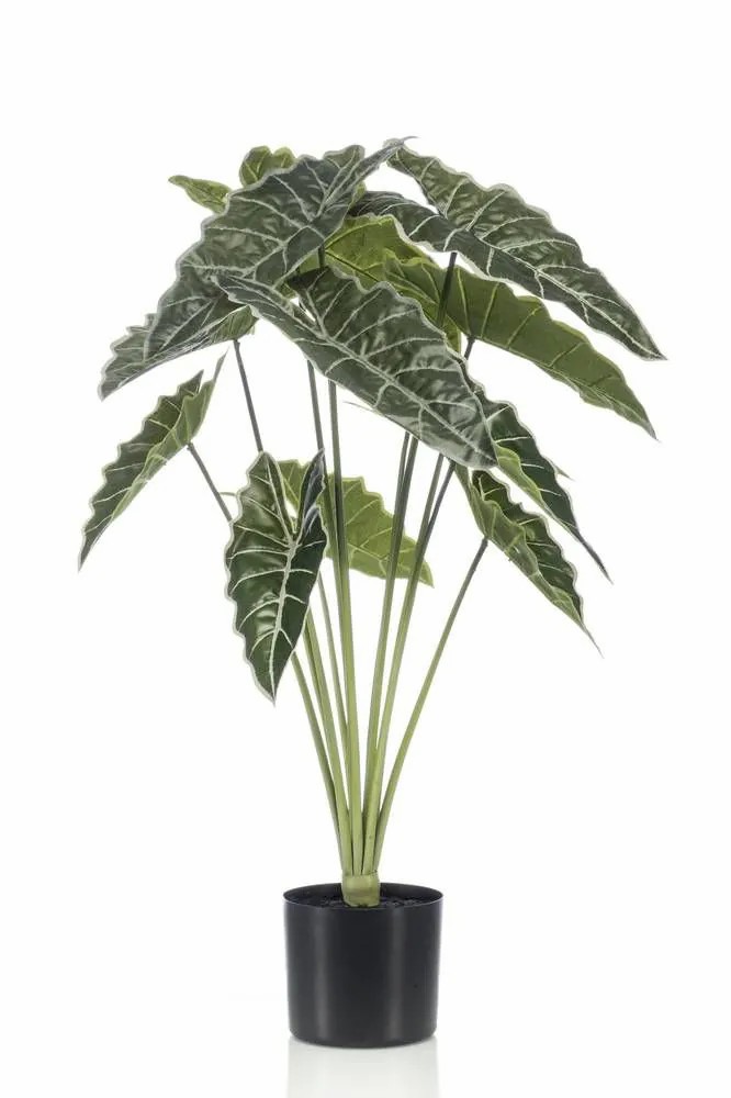 Alocasia | Artificial Alocasia Sanderiana Fiorella, Green, 31"/80Cm Alocasia Alocasia