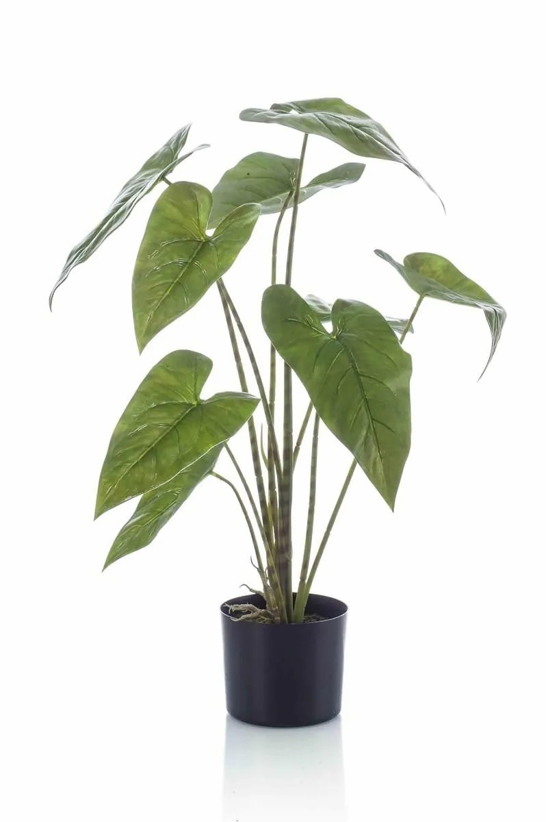 Alocasia | Artificial Plant Alocasia Zebrina Lefka With Roots, Green, 30"/75Cm Alocasia Alocasia