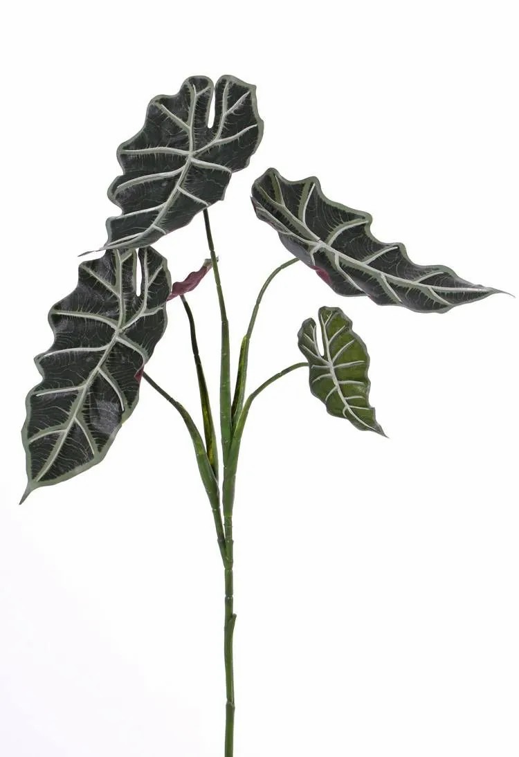 Alocasia | Plastic Alocasia Sanderiana Mathea On Spike, Green-White, 30"/75Cm Alocasia Alocasia