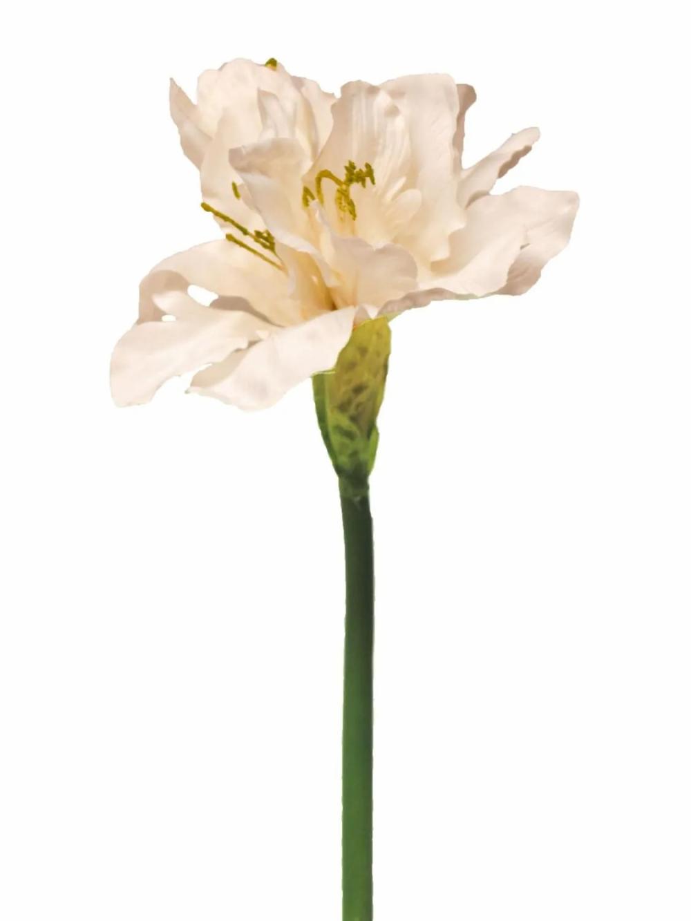 Amaryllis | Artificial Amaryllis Hejia, Pale Pink, 24"/60Cm Amaryllis Amaryllis