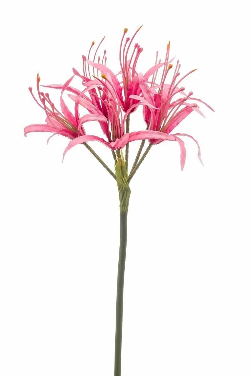 Amaryllis | Artificial Spider Lily Lucho, Pink, 28"/70Cm Amaryllis Amaryllis