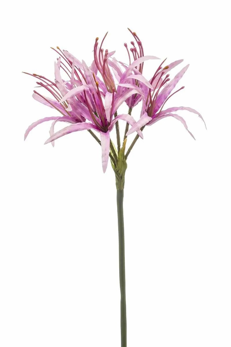 Amaryllis | Artificial Spider Lily Lucho, Purple, 28"/70Cm Amaryllis Amaryllis