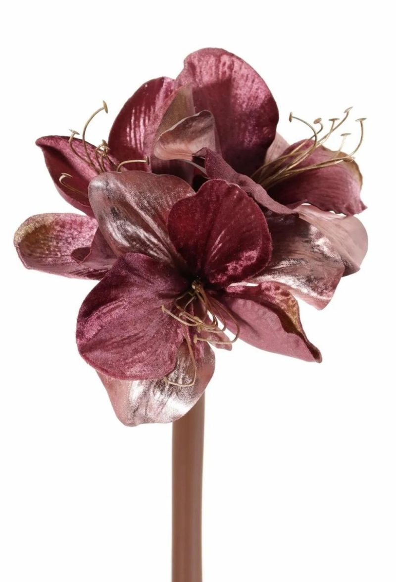 Amaryllis | Velvet Amaryllis Kirsty, Dusky Pink, 28"/70Cm, Ø3.5"/9Cm Amaryllis Amaryllis