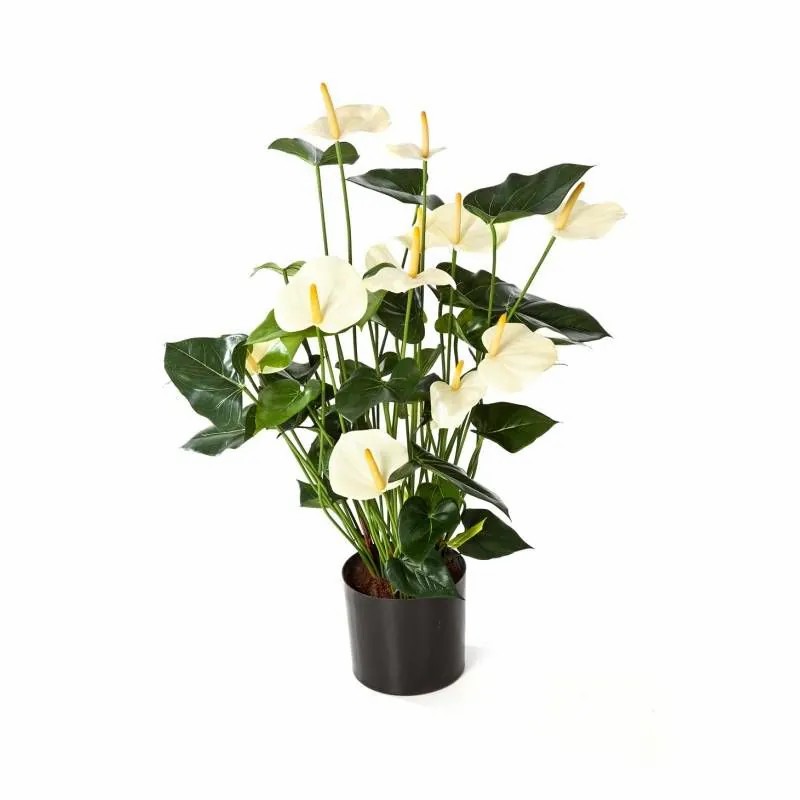 Anthurium | Artificial Anthurium Bush Levana, Cream, 31"/80Cm, Ø3.1"X4"/8X10Cm Anthurium Anthurium