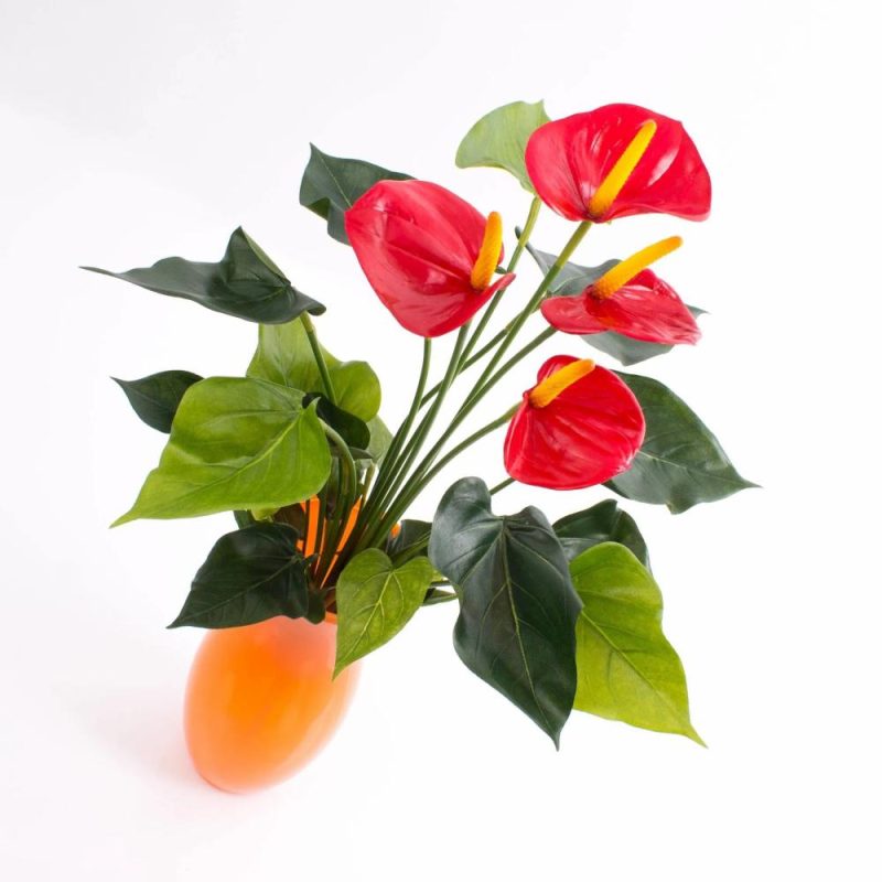 Anthurium | Artificial Anthurium Bush Lorie On Spike, Red, 22"/55Cm, Ø2.4"X3.1"/6X8Cm Anthurium Anthurium