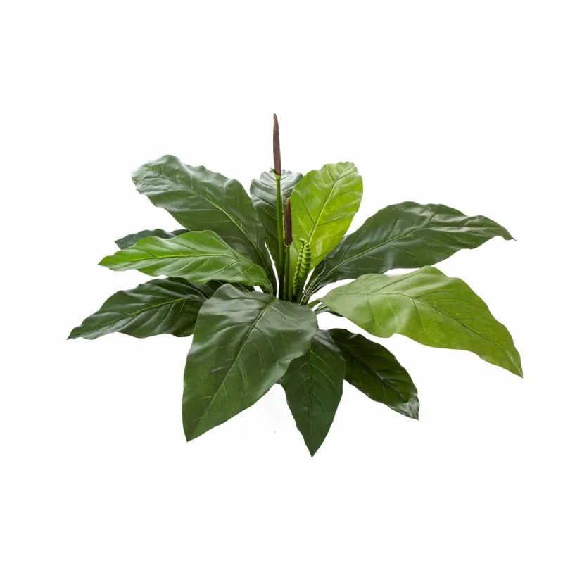 Anthurium | Artificial Anthurium Hailey, Green, 33"/85Cm Anthurium Anthurium