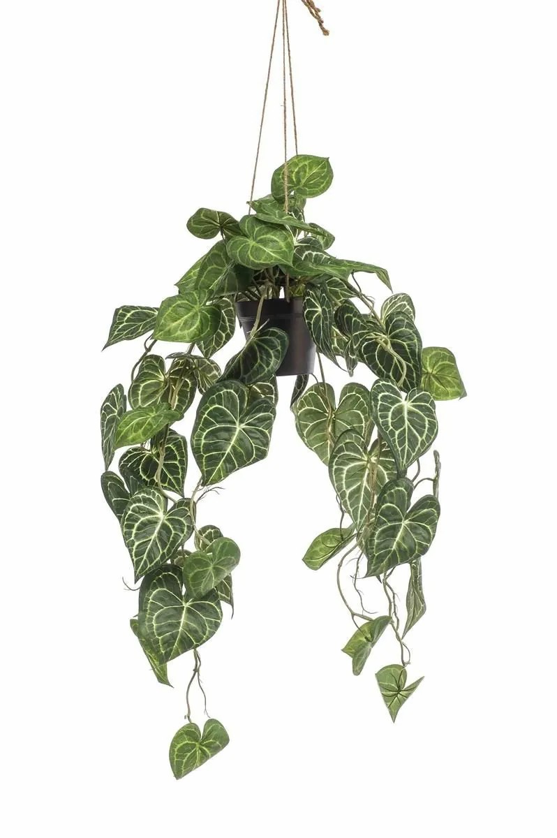 Anthurium | Artificial Anthurium Hanging Basket Morgane, Decorative Pot, Green, 31"/80Cm Anthurium Anthurium