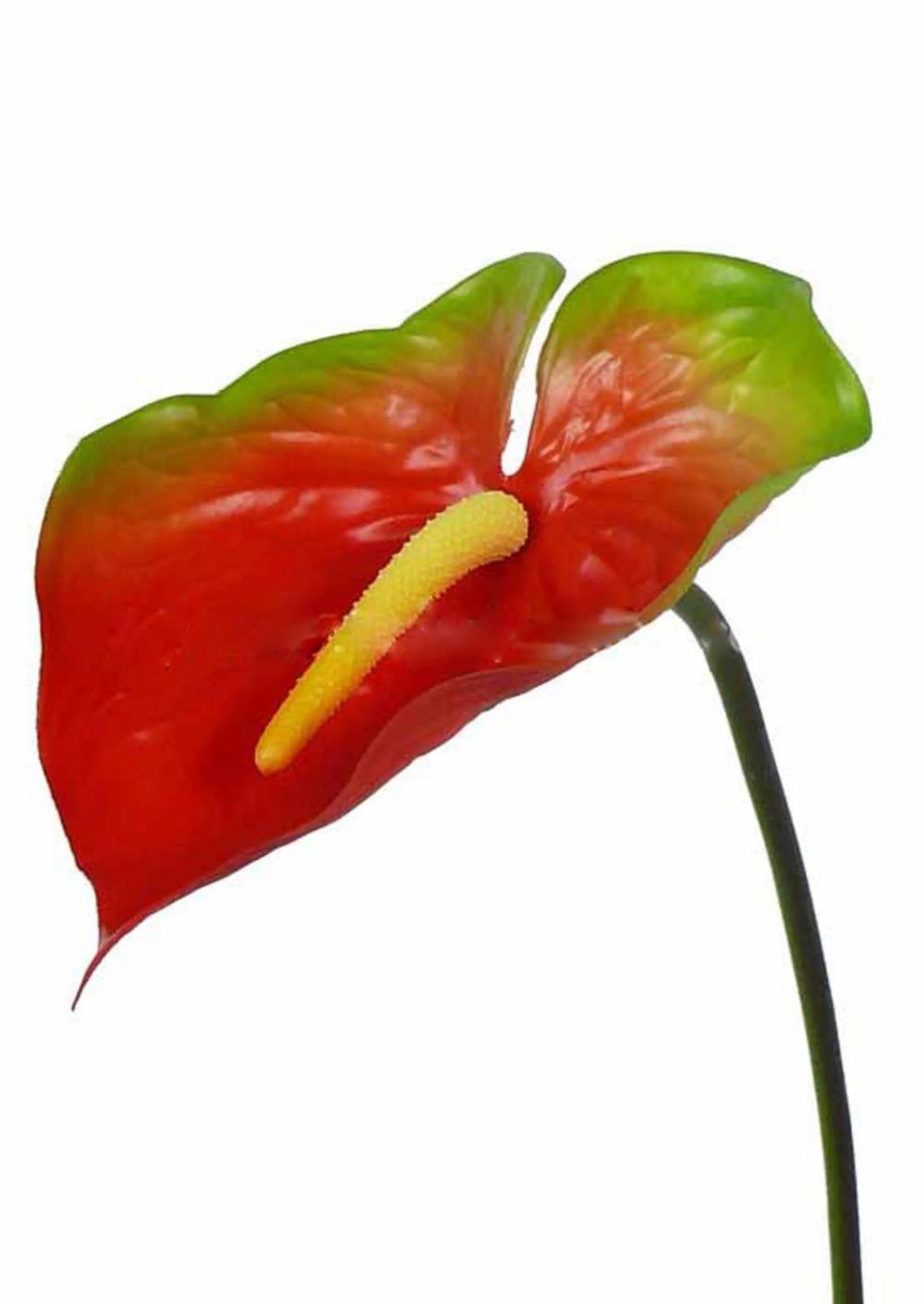 Anthurium | Artificial Anthurium Moira, Red-Green, 30"/75Cm, 5.1"X8"/13X20Cm Anthurium Anthurium