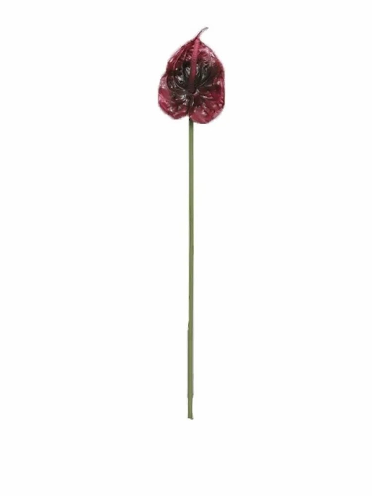 Anthurium | Artificial Anthurium Tianxin, Dark Purple, 26"/65Cm Anthurium Anthurium