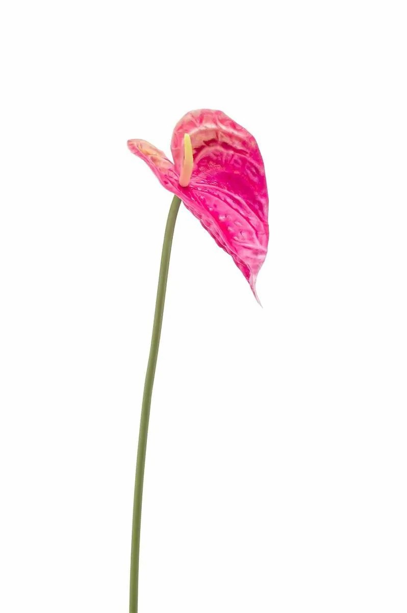 Anthurium | Artificial Flower Anthurium Xylon, Fuchsia, 20"/50Cm Anthurium Anthurium