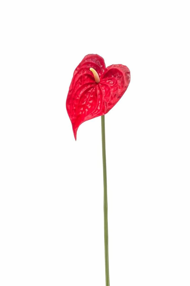 Anthurium | Artificial Flower Anthurium Xylon, Red, 20"/50Cm Artificial Flowers Anthurium