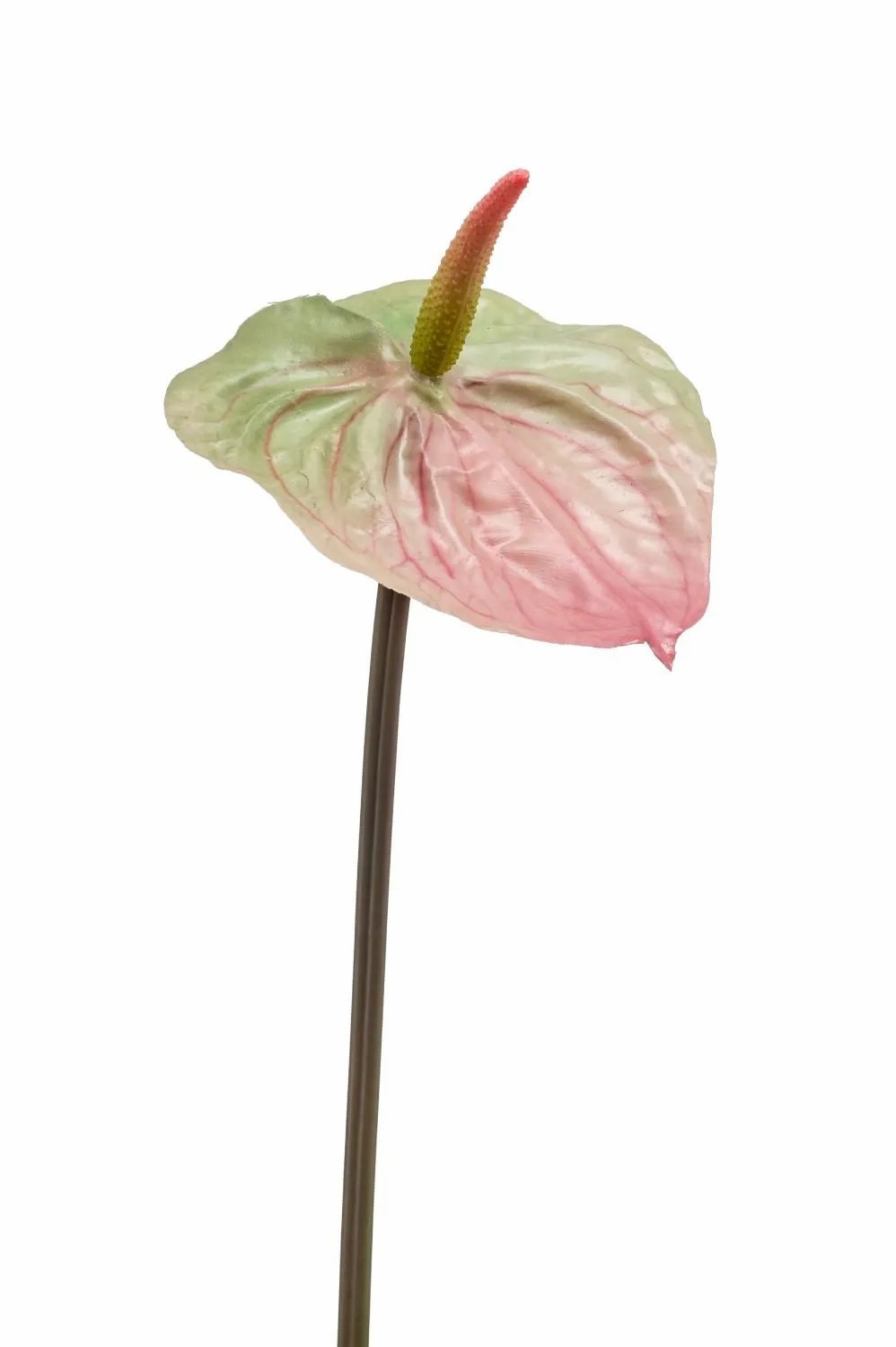 Anthurium | Artificial Laceleaf Yusei, Green-Pink, 26"/65 Cm Anthurium Anthurium