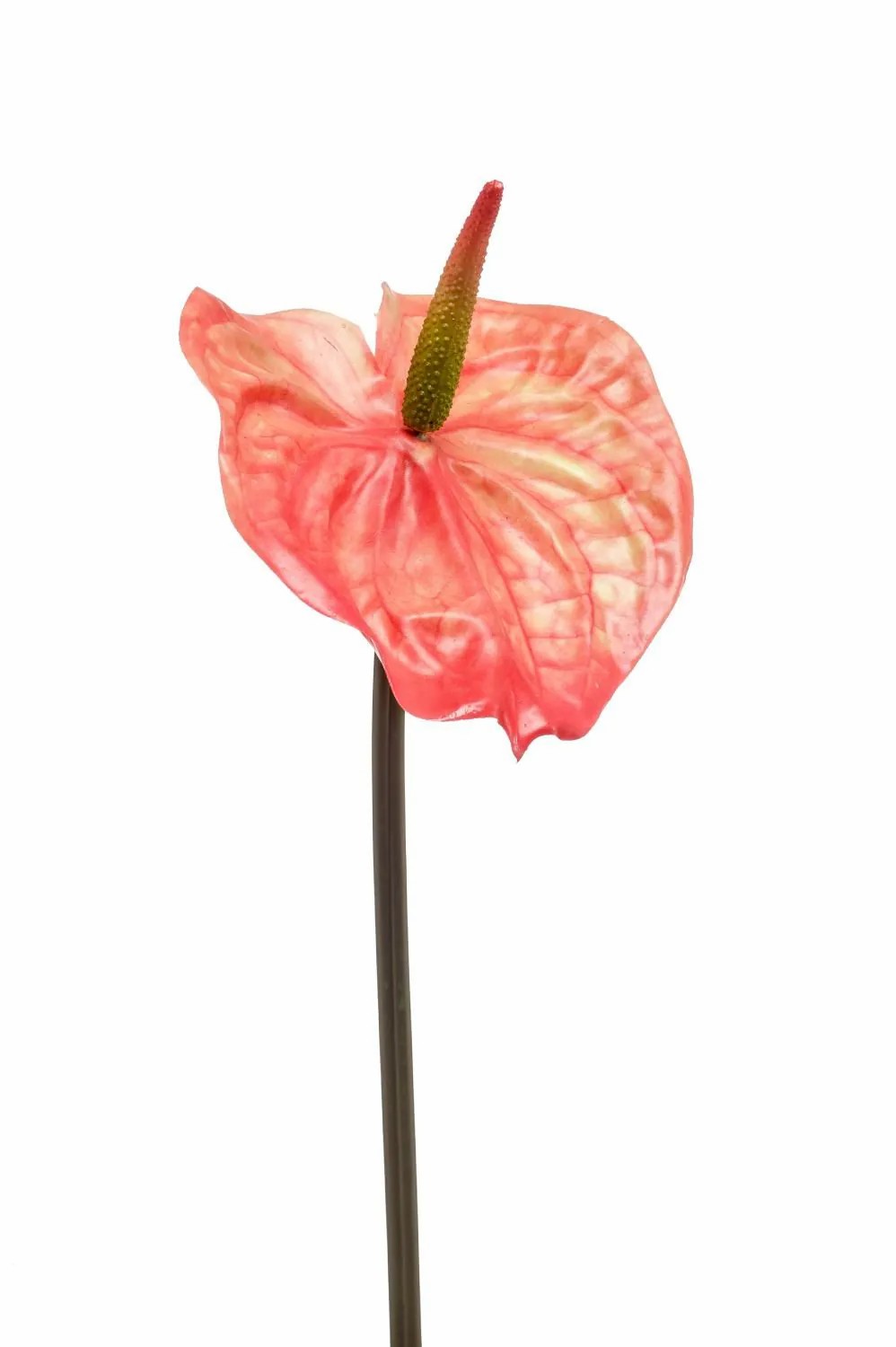 Anthurium | Artificial Laceleaf Yusei, Orange, 26"/65 Cm Anthurium Anthurium