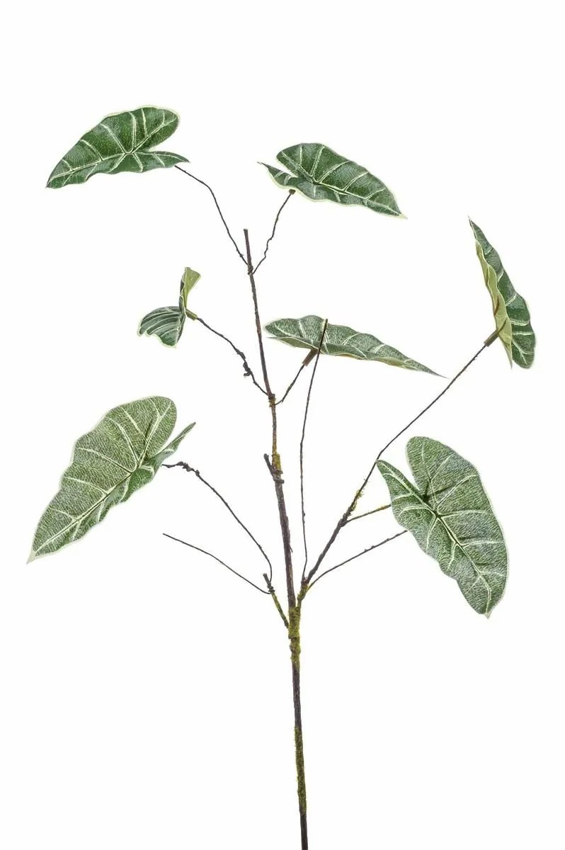 Anthurium | Decorative Branch Anthurium Glant, Green-Grey, 26"/65Cm Anthurium Anthurium