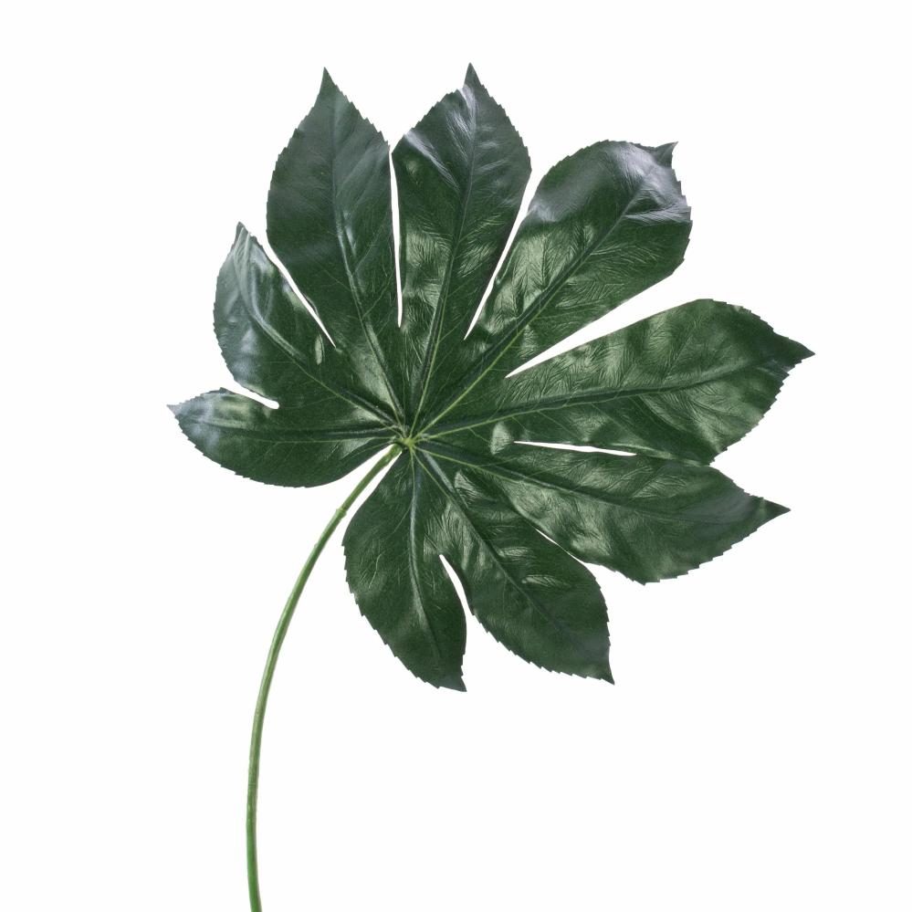 Aralia | Artificial Aralia Leaf Faris, Green, 22"/55Cm Aralia Aralia