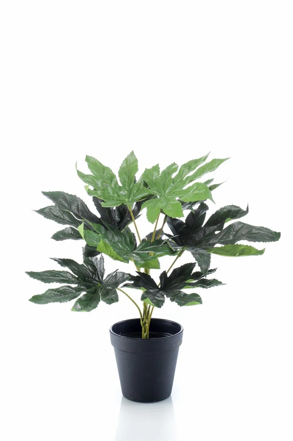 Aralia | Artificial Aralia Plant Teulada, Green, 12"/30Cm Aralia Aralia