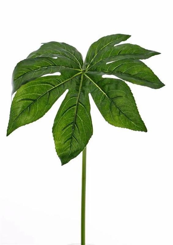 Aralia | Fake Aralia Leaf Imana, Green, 31"/80Cm Aralia Aralia