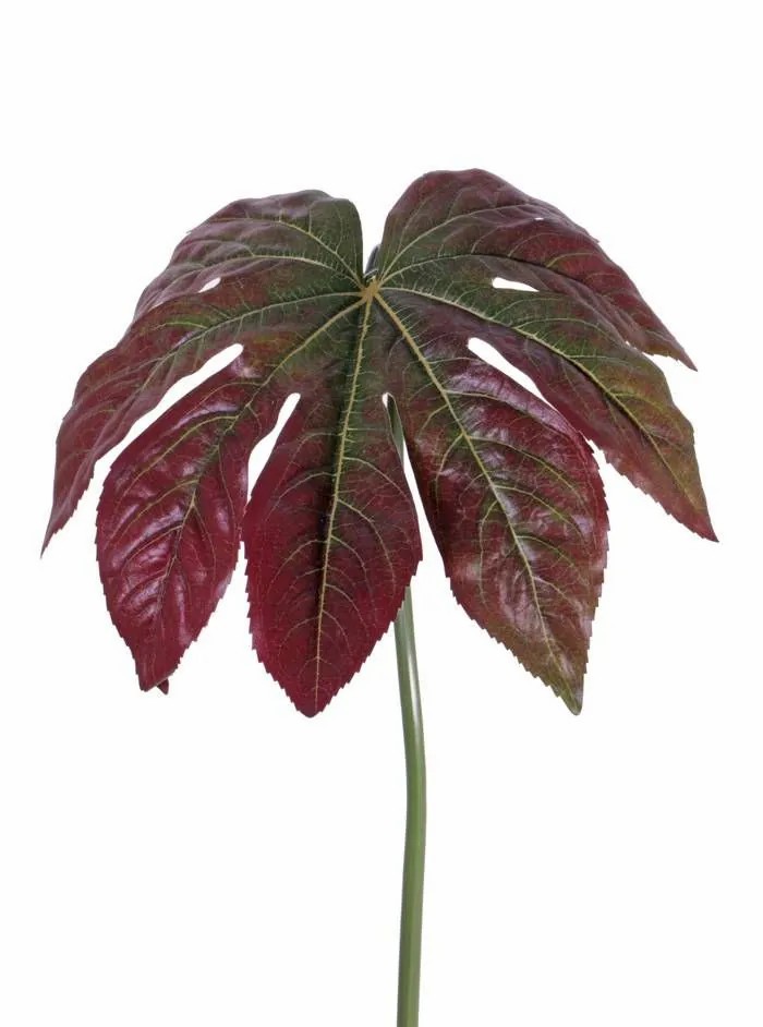 Aralia | Fake Aralia Leaf Imana, Red-Green, 31"/80Cm Aralia Aralia