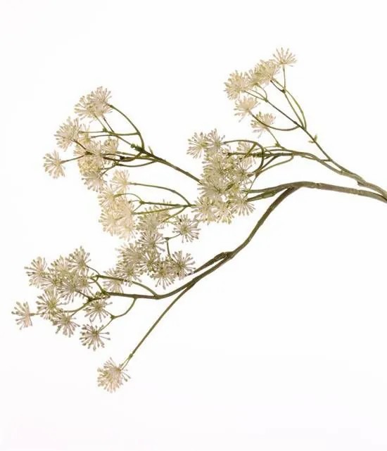 Aralia | Fake Aralia Spray Yared, With Flowers, Cream, 33"/85Cm Aralia Aralia