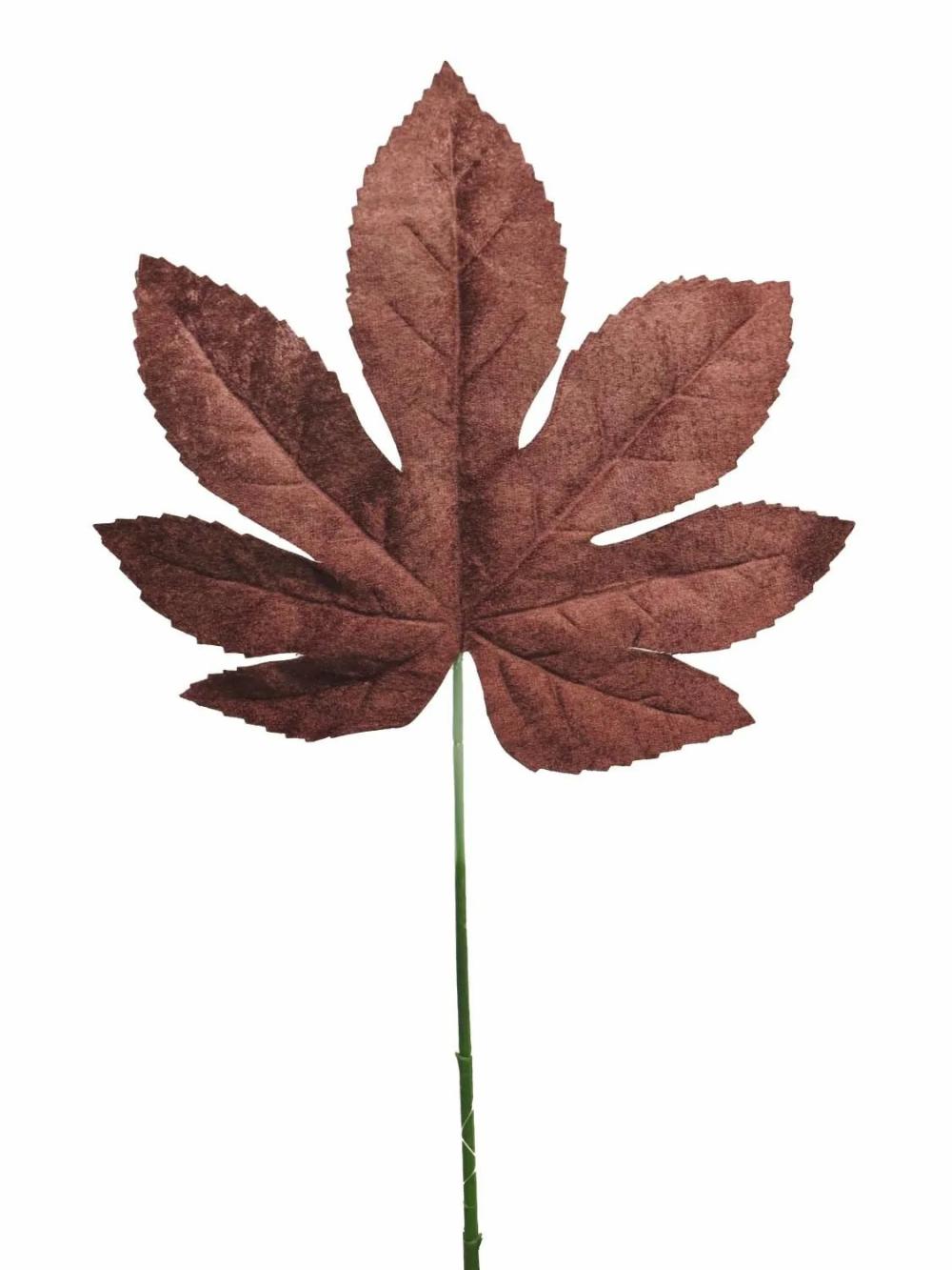 Aralia | Velvet Maple Leaf Aojun, Brown, 28"/70Cm Aralia Aralia