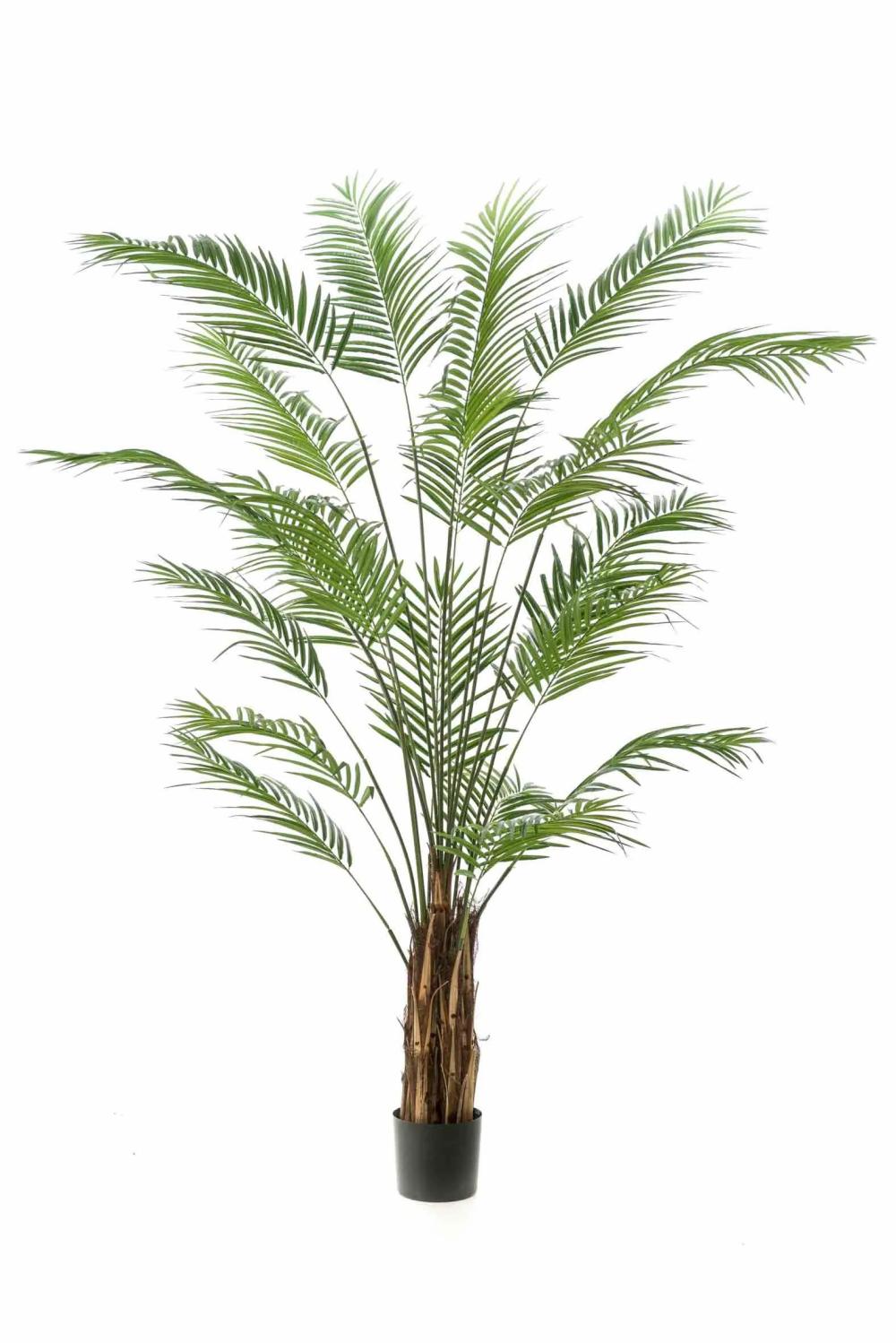 Areca palms | Artificial Areca Palm Cuzco, 8Ft/240Cm Areca palms Areca palms