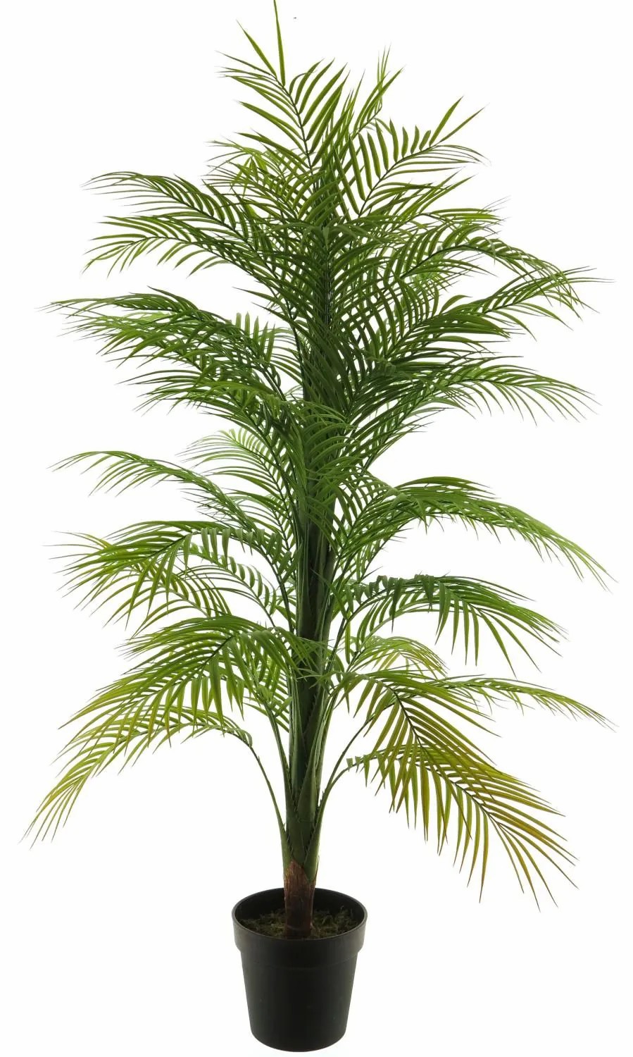 Areca palms | Artificial Areca Palm Tree Antai, 5Ft/140Cm Areca palms Areca palms