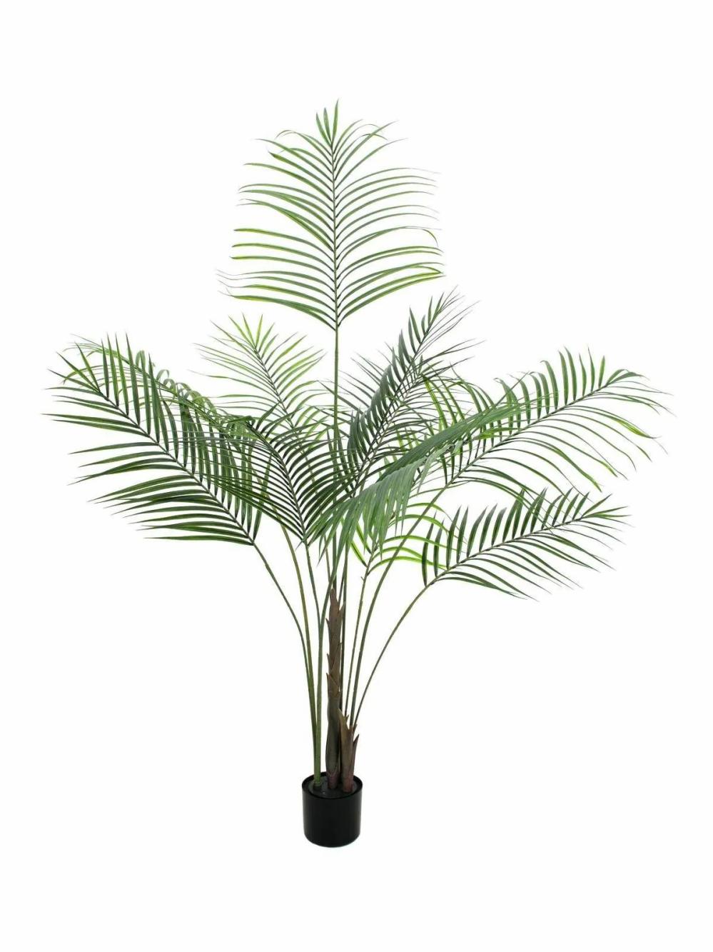 Areca palms | Fake Areca Palm Amica, Weatherproof, 6Ft/185Cm Areca palms Areca palms