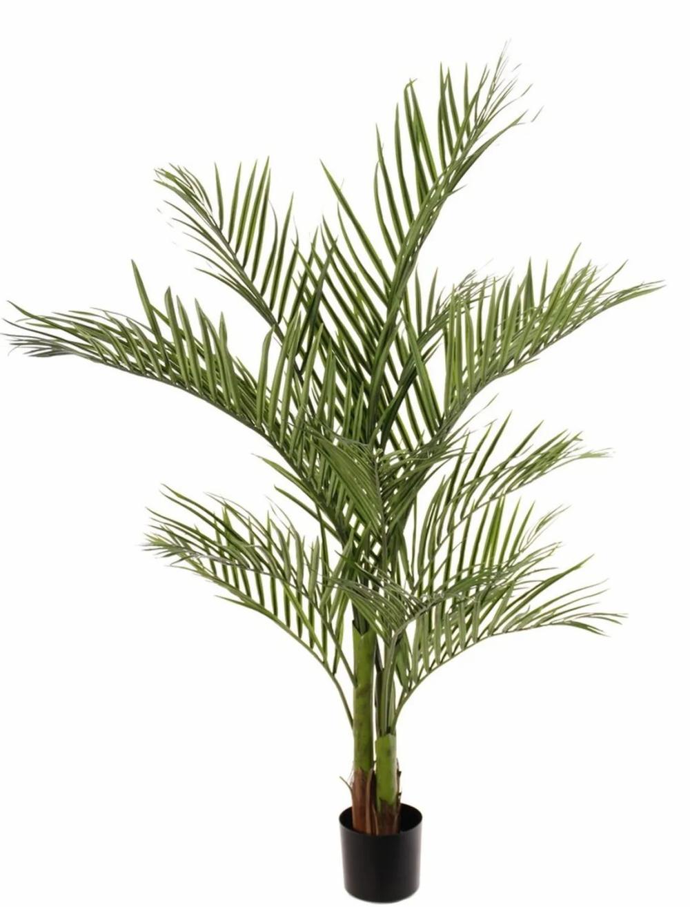 Areca palms | Fake Areca Palm Jumbolino, 5Ft/150Cm Areca palms Areca palms