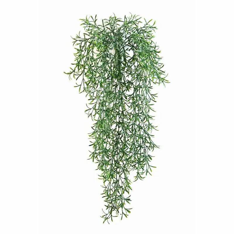 Asparagus plants | Artificial Asparagus Camilla, Spike, 28"/70Cm Artificial Plants Asparagus plants