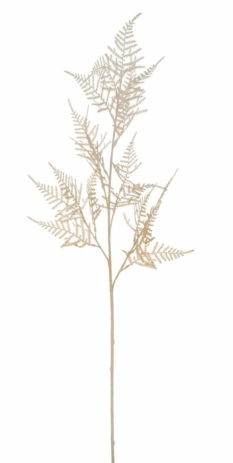 Asparagus plants | Artificial Asparagus Plumosus Branch Balloch, Cream-Yellow, 31"/80Cm Artificial Plants Asparagus plants