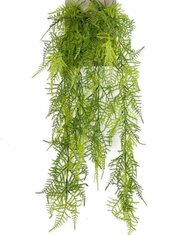 Asparagus plants | Artificial Asparagus Plumosus Hanging Plant Cole, Spike, 31"/80Cm Artificial Plants Asparagus plants