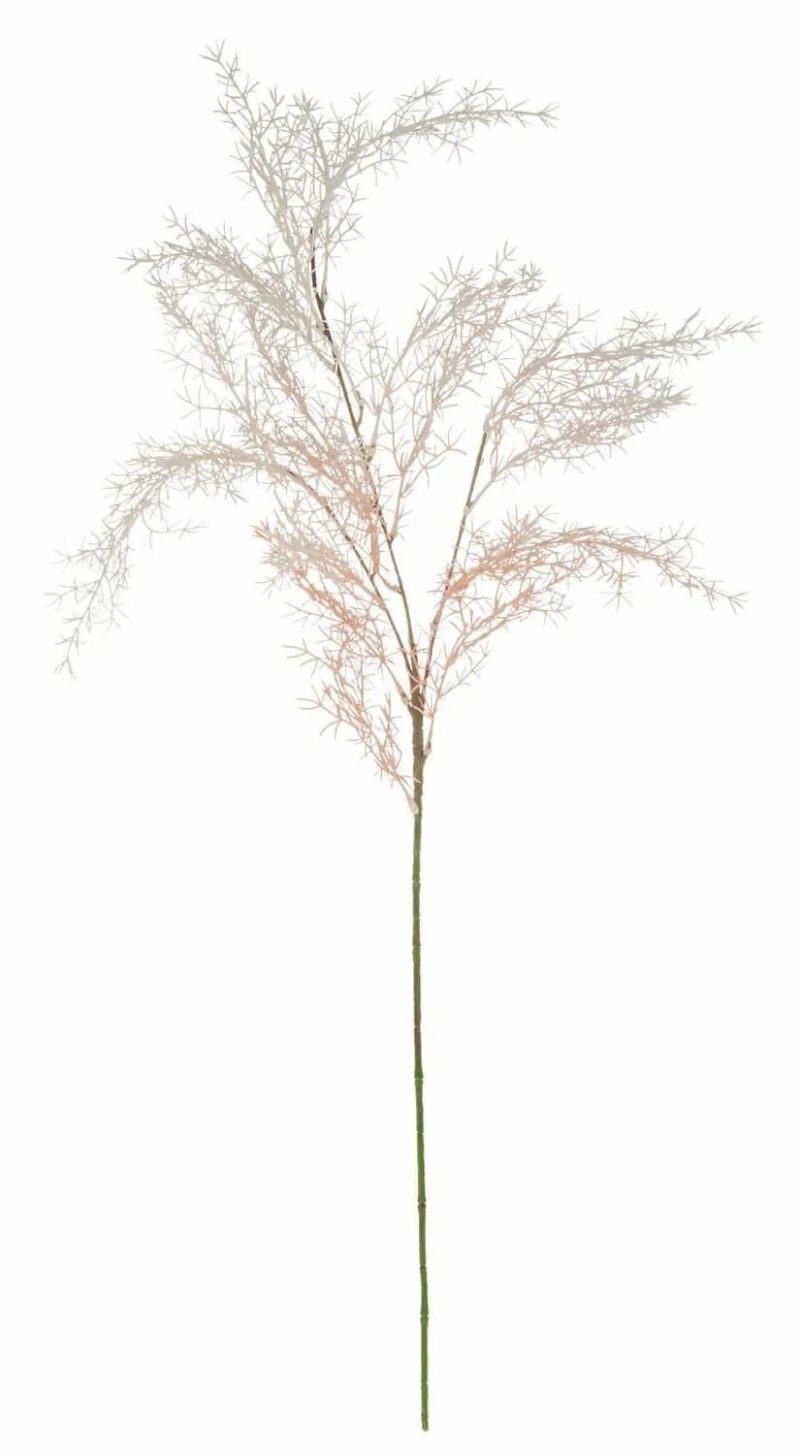 Asparagus plants | Artificial Asparagus Sprengeri Runal, White-Pink, 31"/80Cm Artificial Plants Asparagus plants