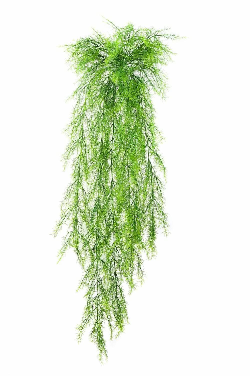 Asparagus plants | Artificial Hanging Plant Asparagus Plumosus Iles, Spike, 3Ft/105Cm Artificial Plants Asparagus plants