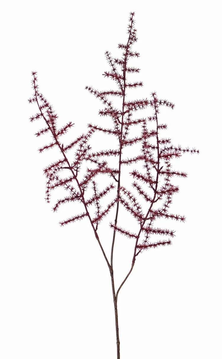 Asparagus plants | Fake Asparagus Acutifolius Branch Hans, Dark Red, 28"/70Cm Artificial Plants Asparagus plants