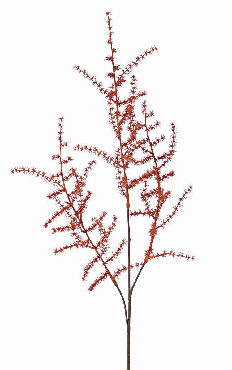 Asparagus plants | Fake Asparagus Acutifolius Branch Hans, Orange, 28"/70Cm Artificial Plants Asparagus plants