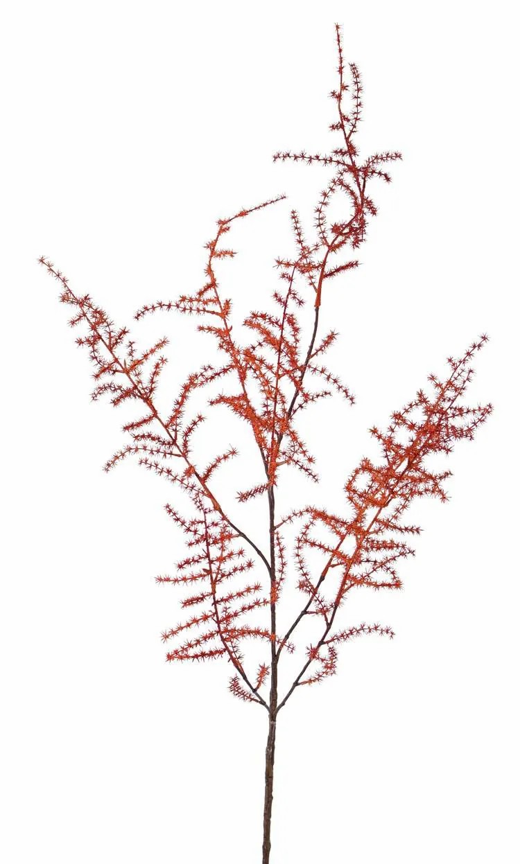 Asparagus plants | Fake Asparagus Acutifolius Branch Jochen, Orange, 4Ft/130Cm Artificial Plants Asparagus plants